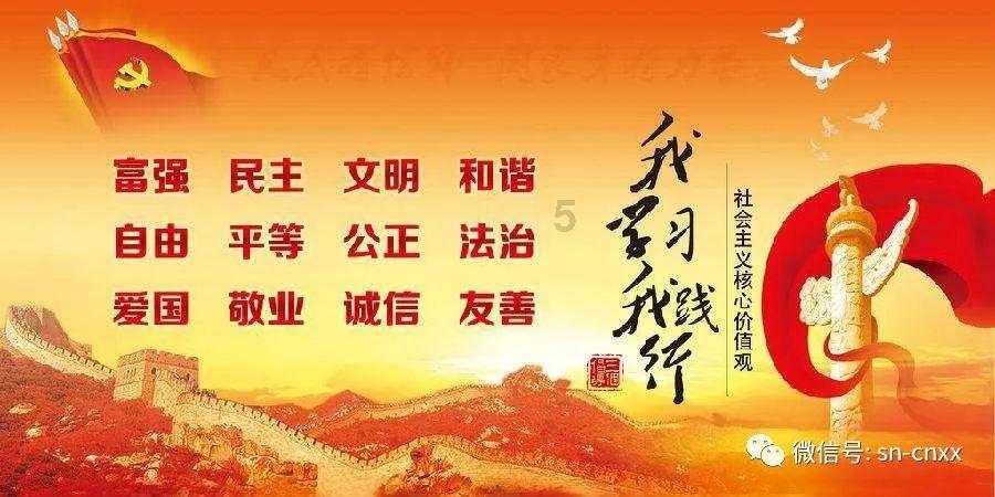 创作猫